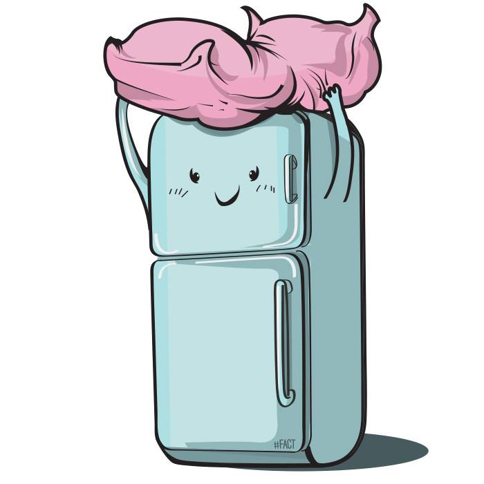 TIL about the "Put A Pillow On Your Fridge Day" celebrated the 29 of